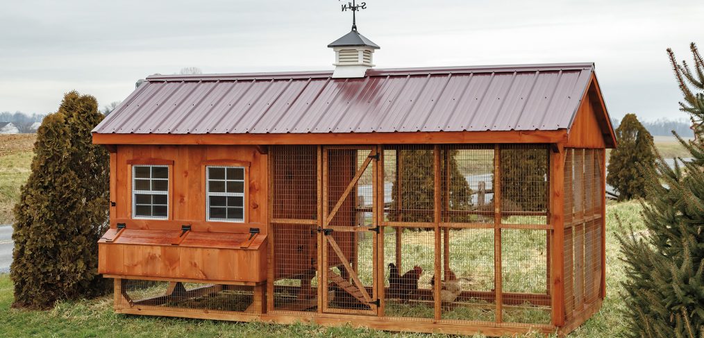 Combination chicken coop with wood siding, an enclosed chicken run, metal roofing, a white cupola, and a weathervane.