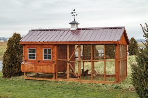Combination chicken coop with wood siding, an enclosed chicken run, metal roofing, a white cupola, and a weathervane.