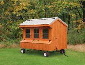 Quaker chicken coop on wheels with wood siding, 3 windows, and metal roofing.