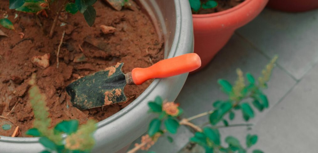 orange hand shovel in a pot of dirt