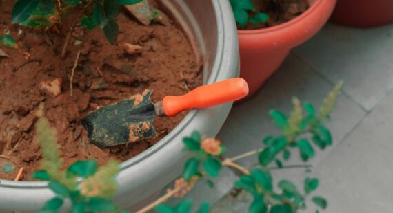 orange hand shovel in a pot of dirt
